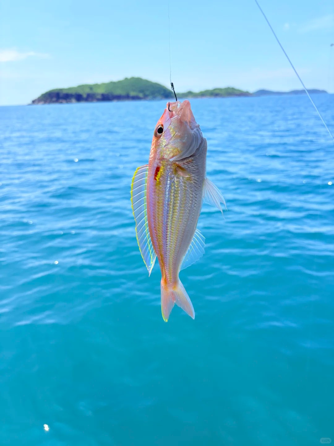 푸꾸옥 낚시 투어: 일출, 일몰 & 신선한 해산물