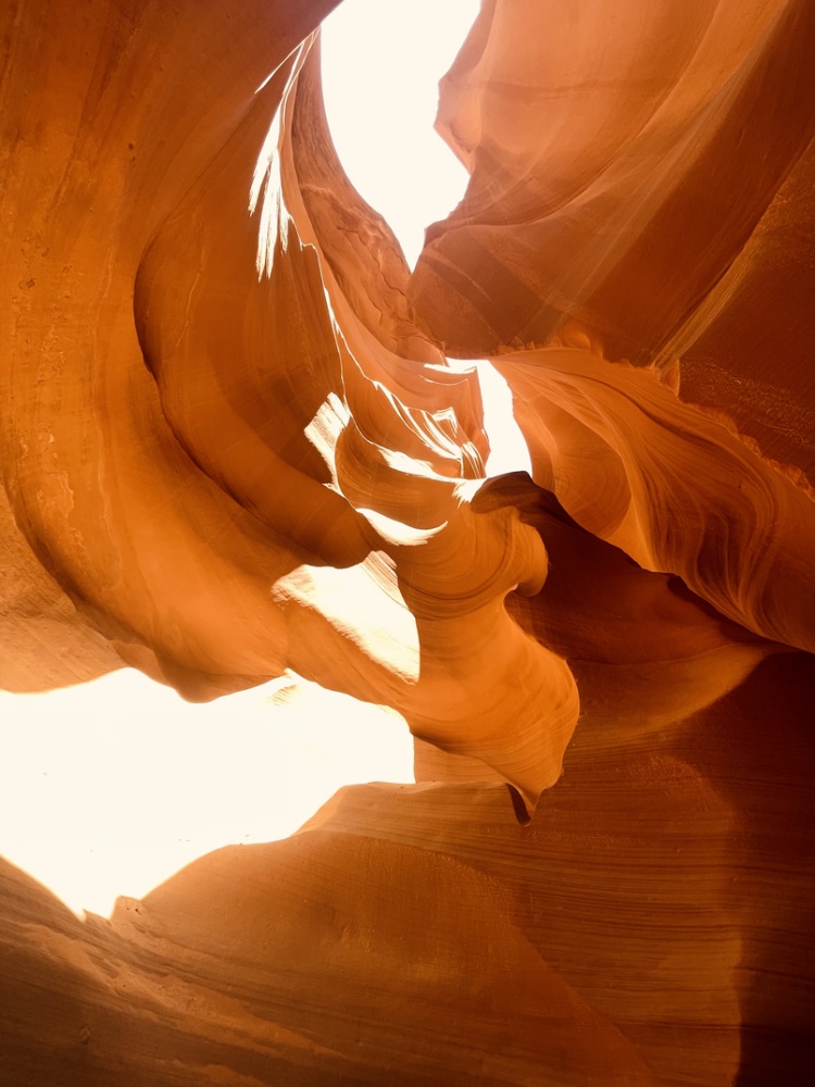 Antelope Canyon, Horseshoe Bend & Glen Canyon Dam Tour from Page