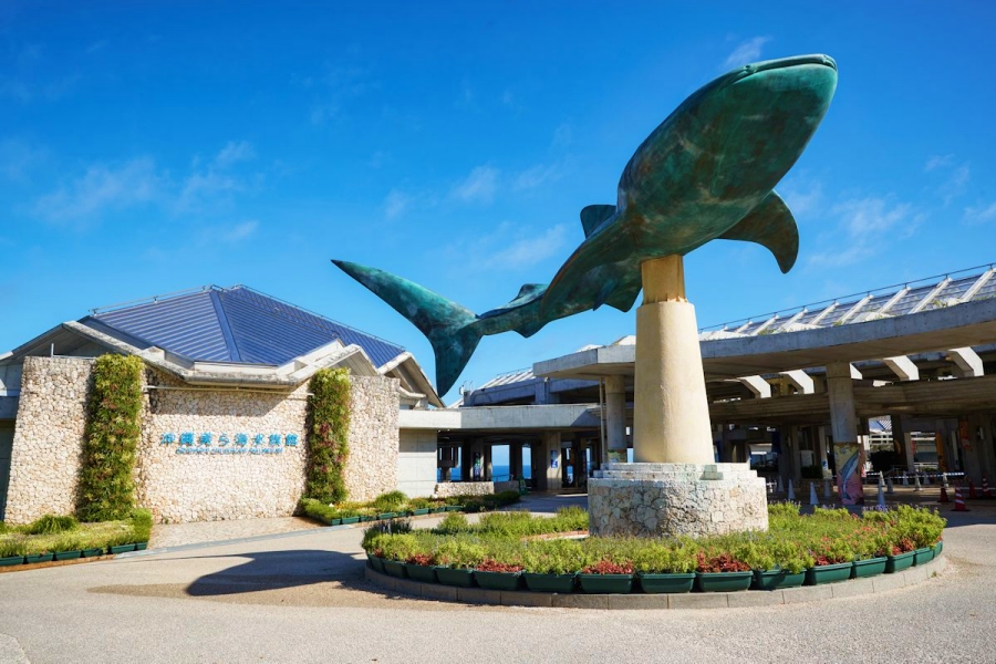 Okinawa Express Bus Round-Trip Ticket (Naha Airport ↔ Churaumi Aquarium)