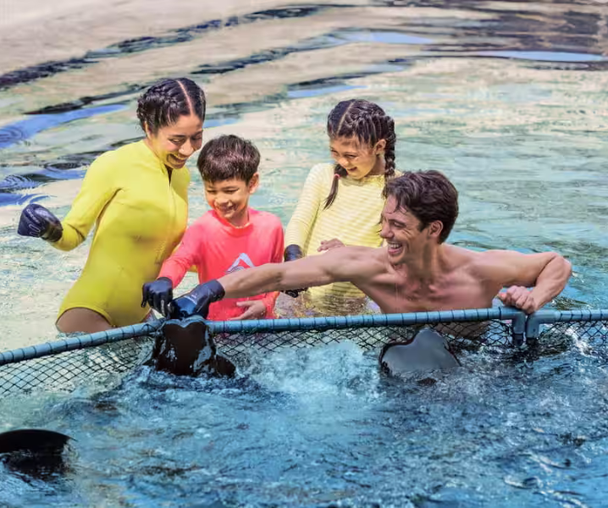 activity_detail_image