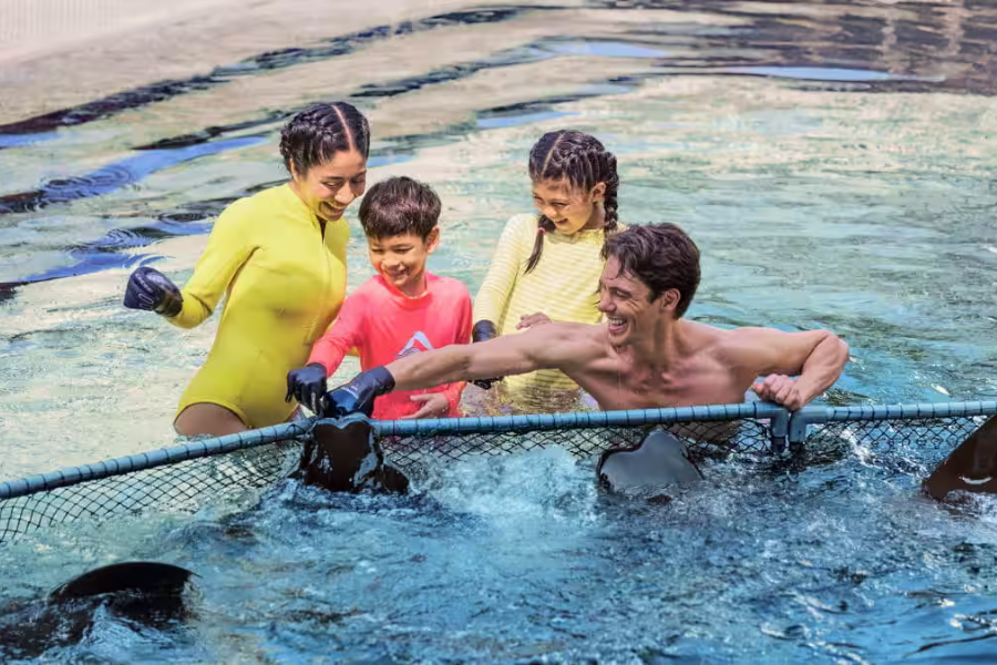 어드벤처 코브 워터파크 티켓 & 최고의 마린 익스피리언스 (가오리 체험 / PADI 스쿠버 다이빙)