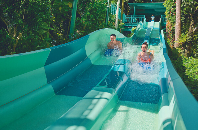 Singapore Adventure Cove Waterpark + Ultimate Marine Experiences (Ray Bay Encounter / PADI Scuba Diving)