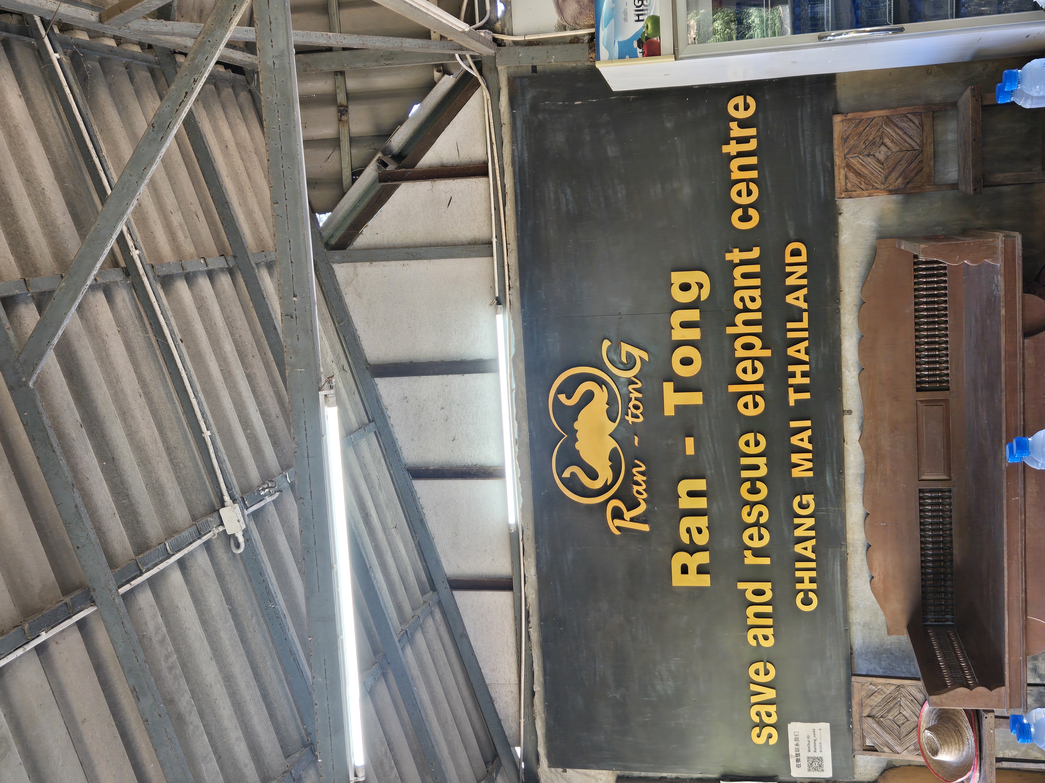 Chiang Mai Elephant Sanctuary Tour – Elephants Are My Friends