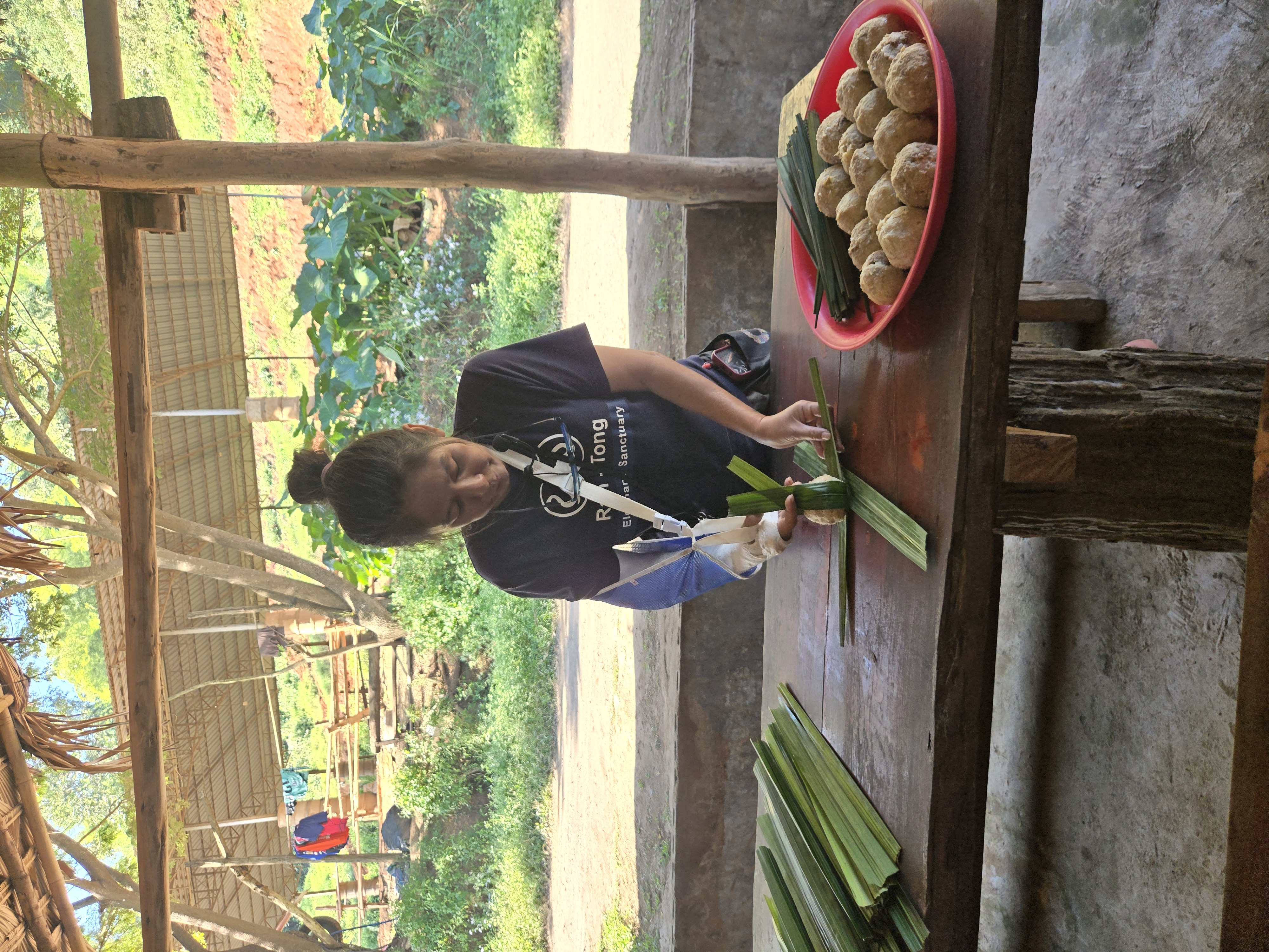 Chiang Mai Elephant Sanctuary Tour – Elephants Are My Friends