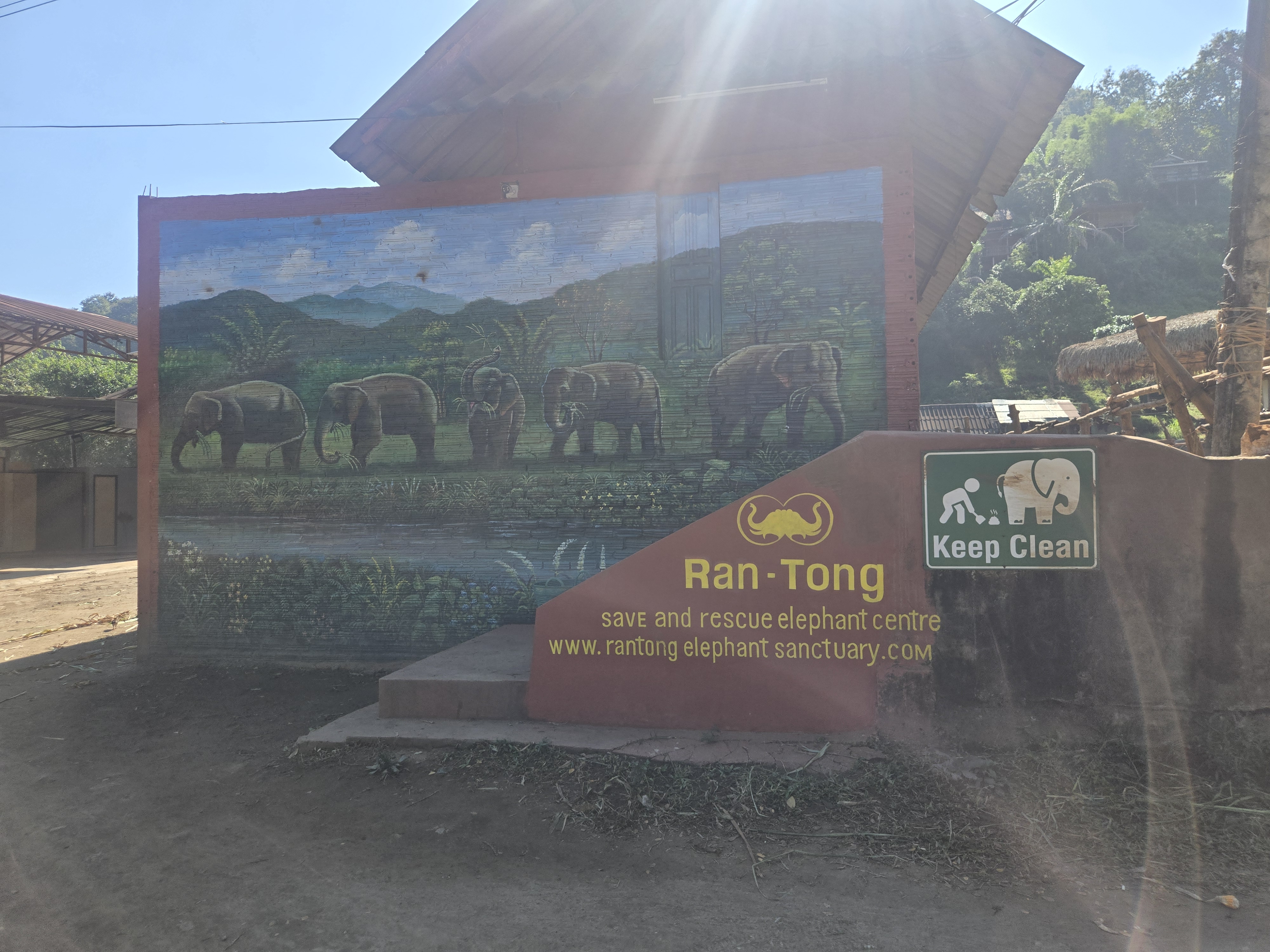 Chiang Mai Elephant Sanctuary Tour – Elephants Are My Friends