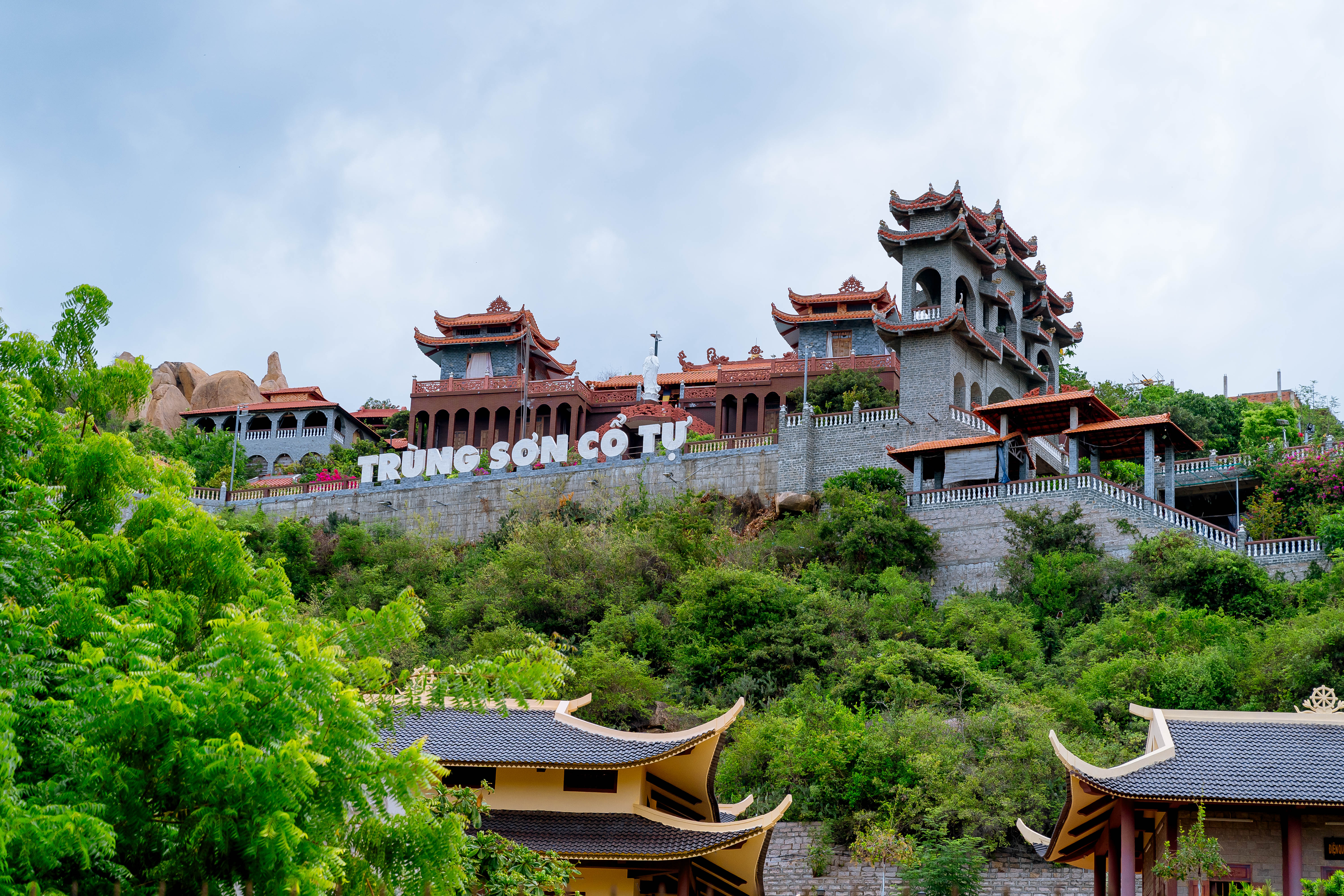 [오픈특가] 나트랑 인생컷 판랑 데이 사막 투어 (지프차 포함)