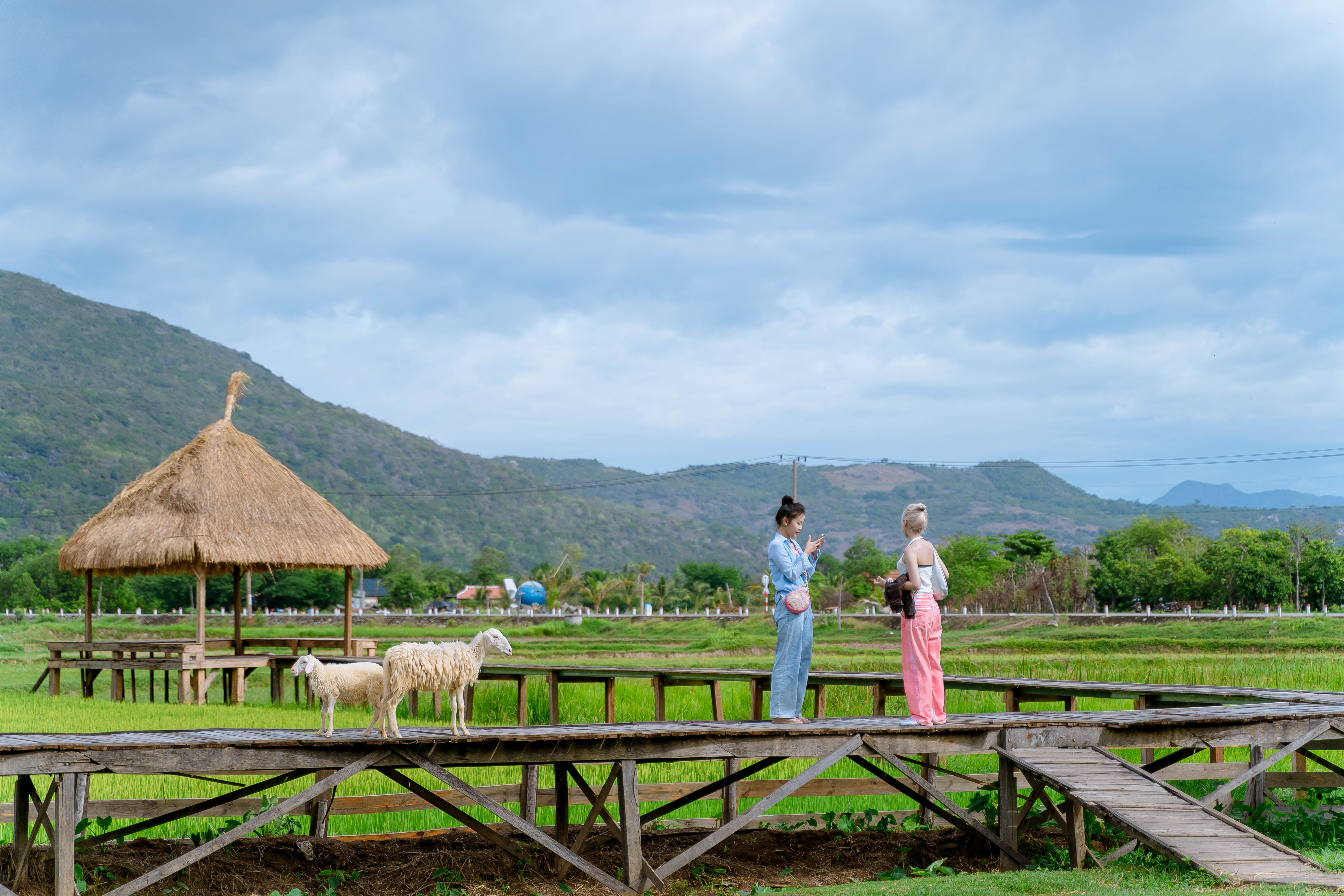 [오픈특가] 나트랑 인생컷 판랑 데이 사막 투어 (지프차 포함)