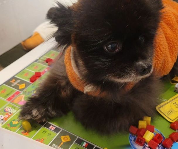 activity_detail_image