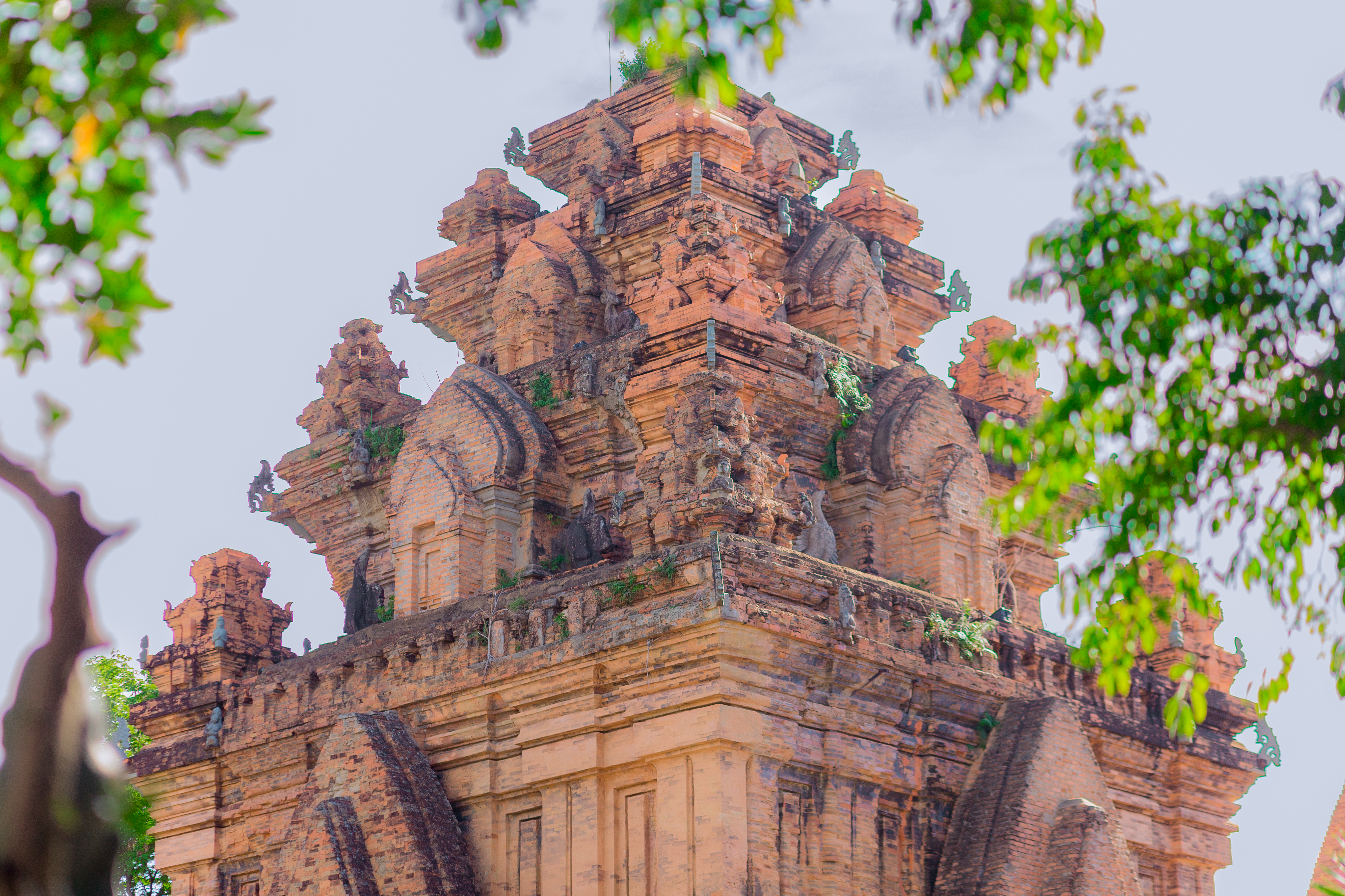 [오픈특가] 나트랑 굿바이 해피엔딩 체크아웃 투어