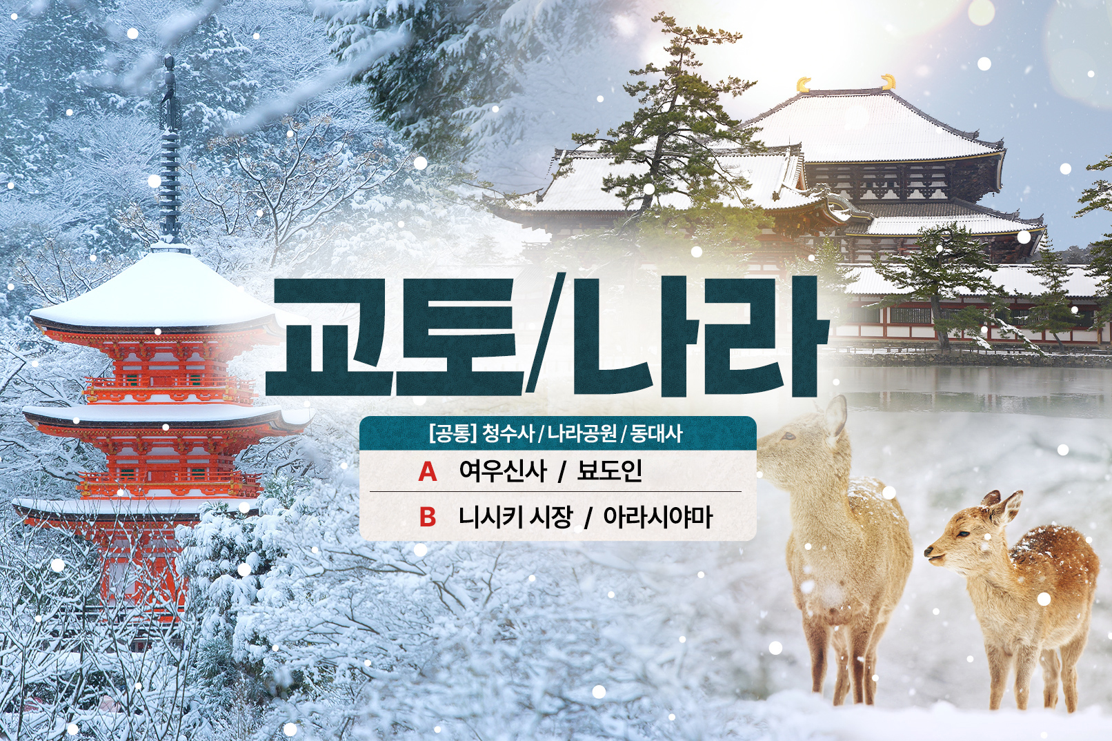 오사카 출발: 교토 & 나라 하이라이트 스팟 일일 투어 (A/B 코스)