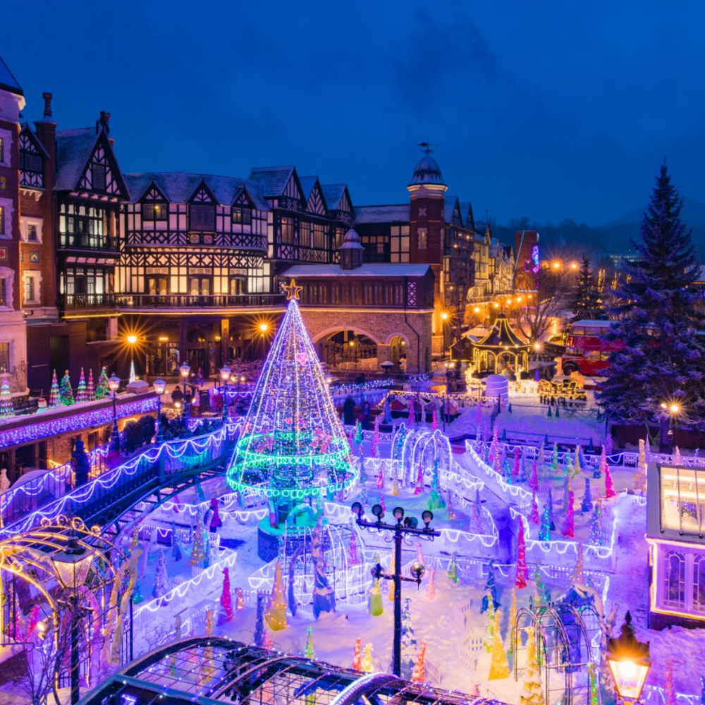 [독점할인] [하루하루투어] 삿포로 출발: 오타루 & 샤코탄 일일 투어 (시코츠코 얼음축제, 시로이고이비토)