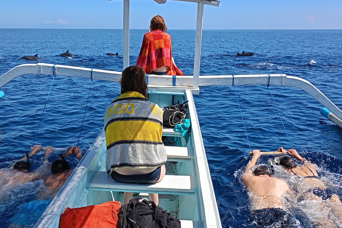 발리 로비나 돌핀 워칭 & 수영