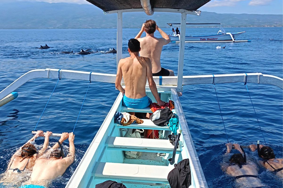 발리 로비나 돌핀 워칭 & 수영