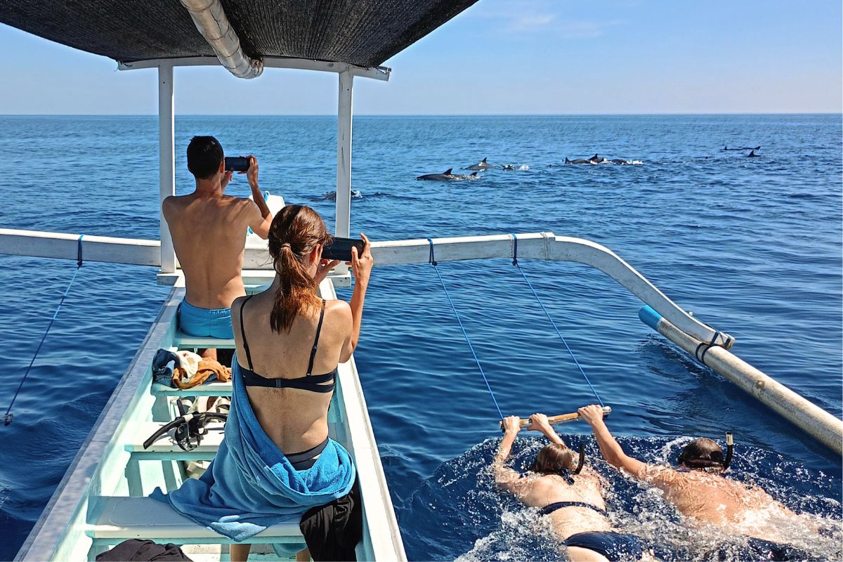 발리 로비나 돌핀 워칭 & 수영