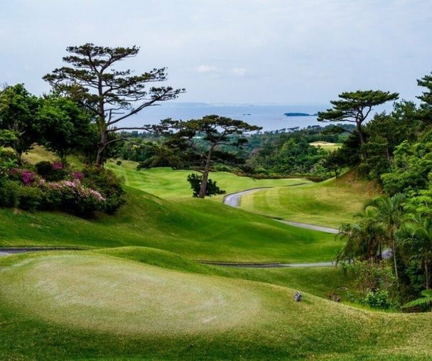 activity_detail_image