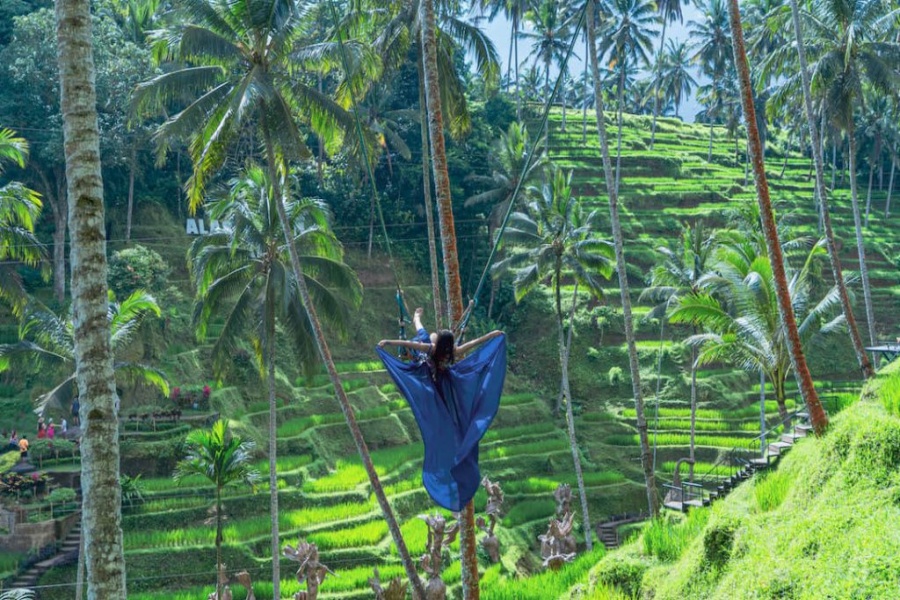 발리 알라스 하룸 테라스 리버 풀 스윙 & 커피투어 입장권