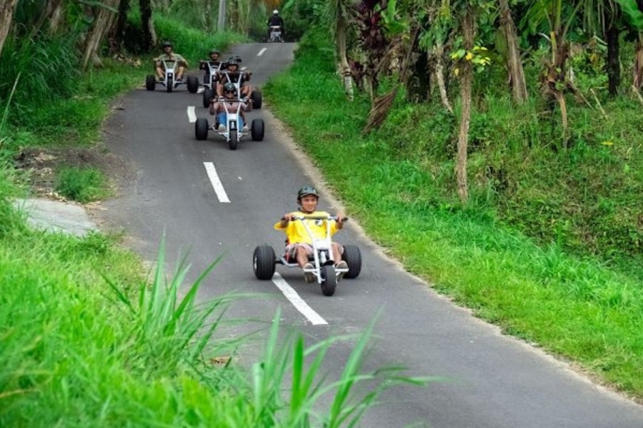 Bali Jungle cart & Cretya Ubud Tour