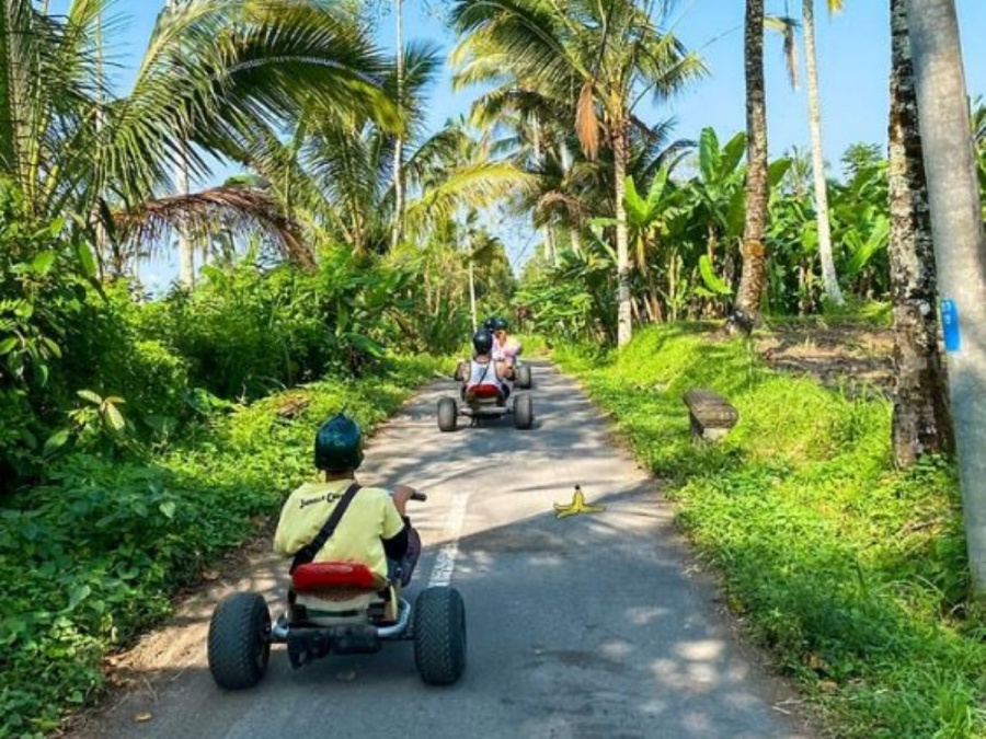 Bali Jungle cart & Cretya Ubud Tour