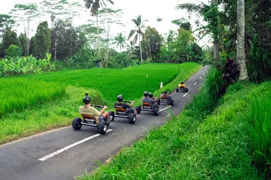 발리 정글 카트 & 크레트야 우붓 투어