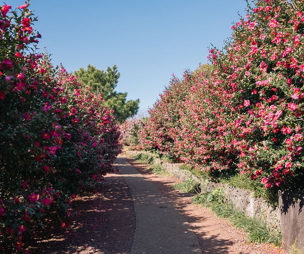 activity_detail_image