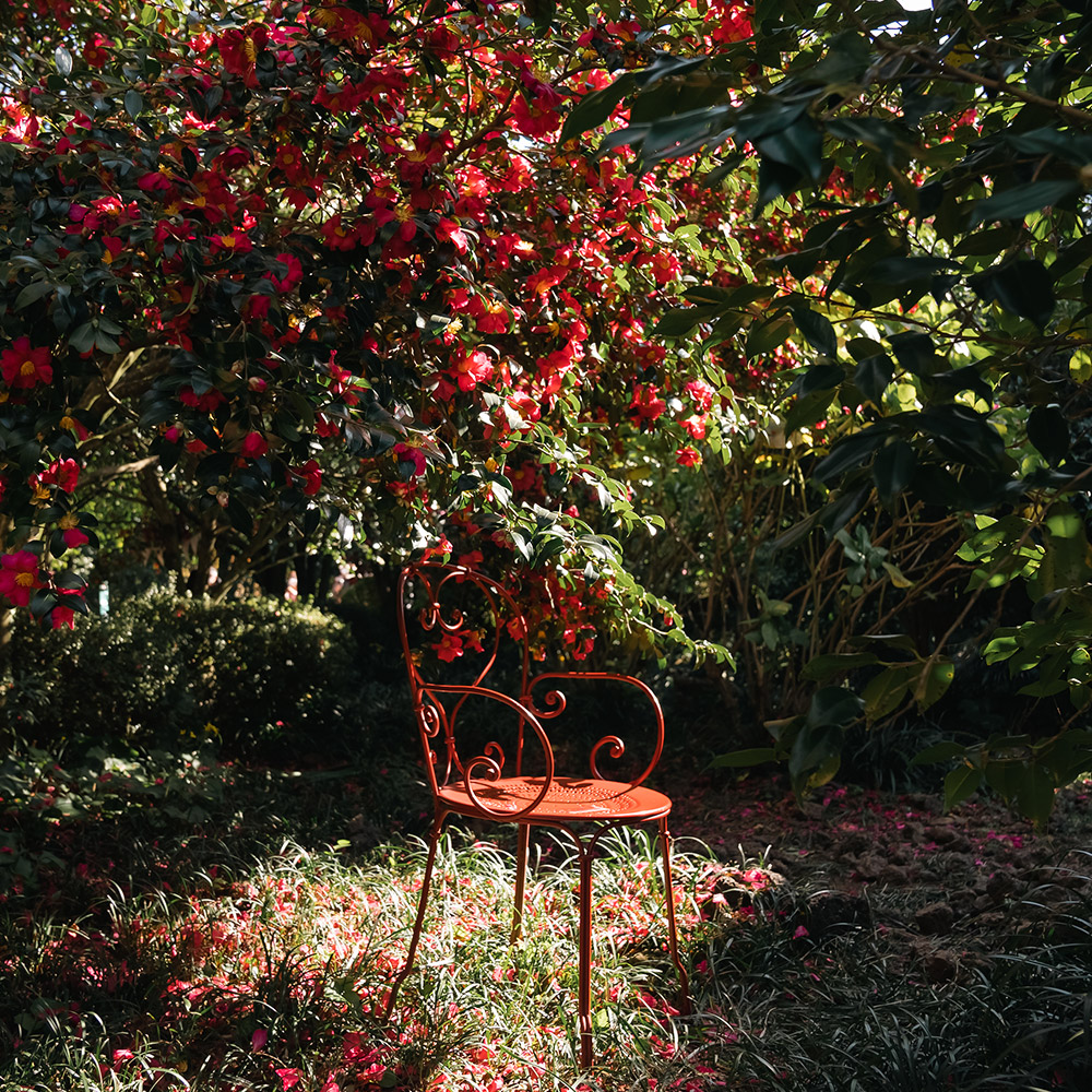 제주 카멜리아힐 입장권 + 3종 혜택