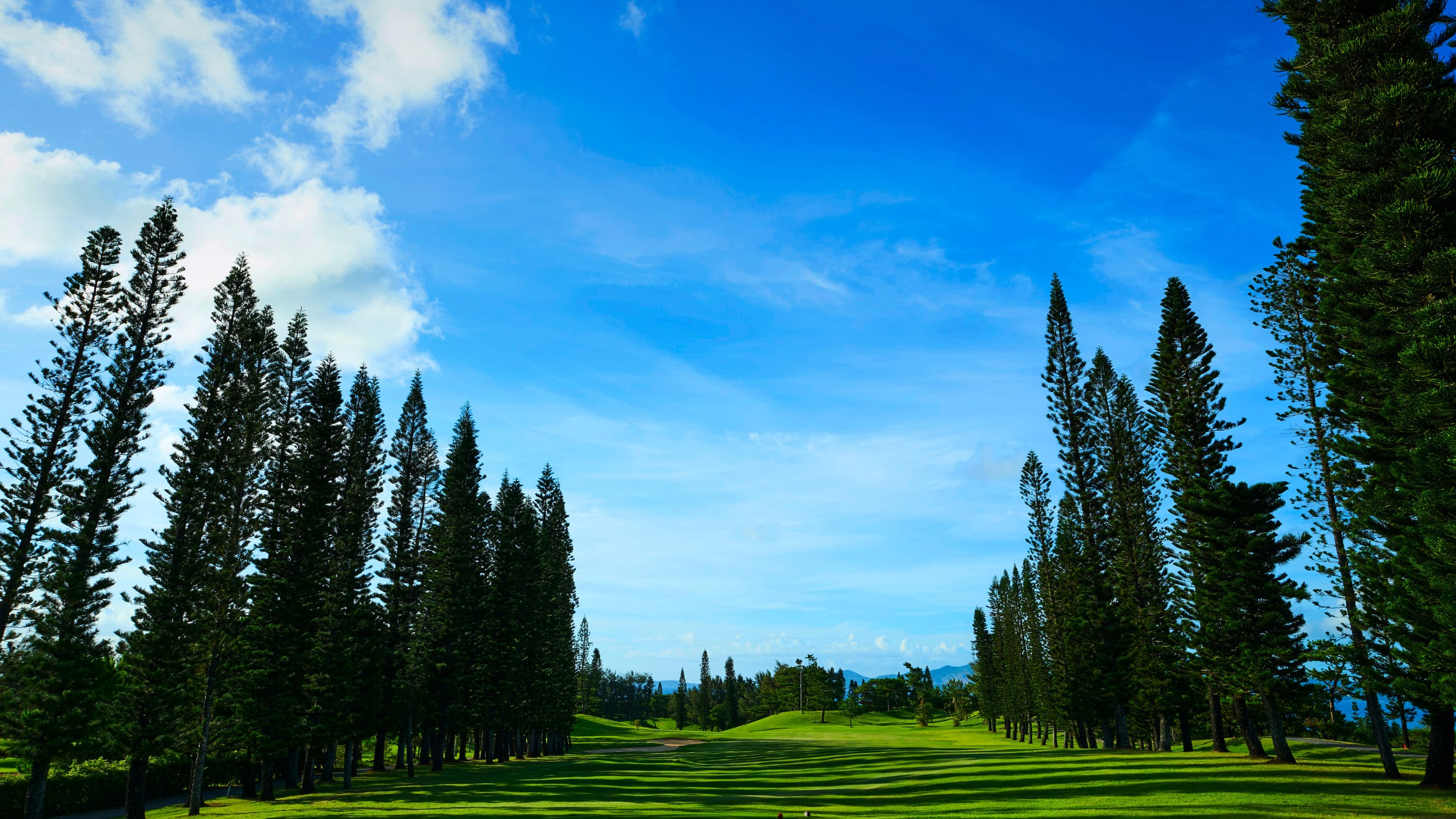 [오픈특가] 오키나와 츄라오차드 골프 클럽 - 18홀 그린피 + 카트피