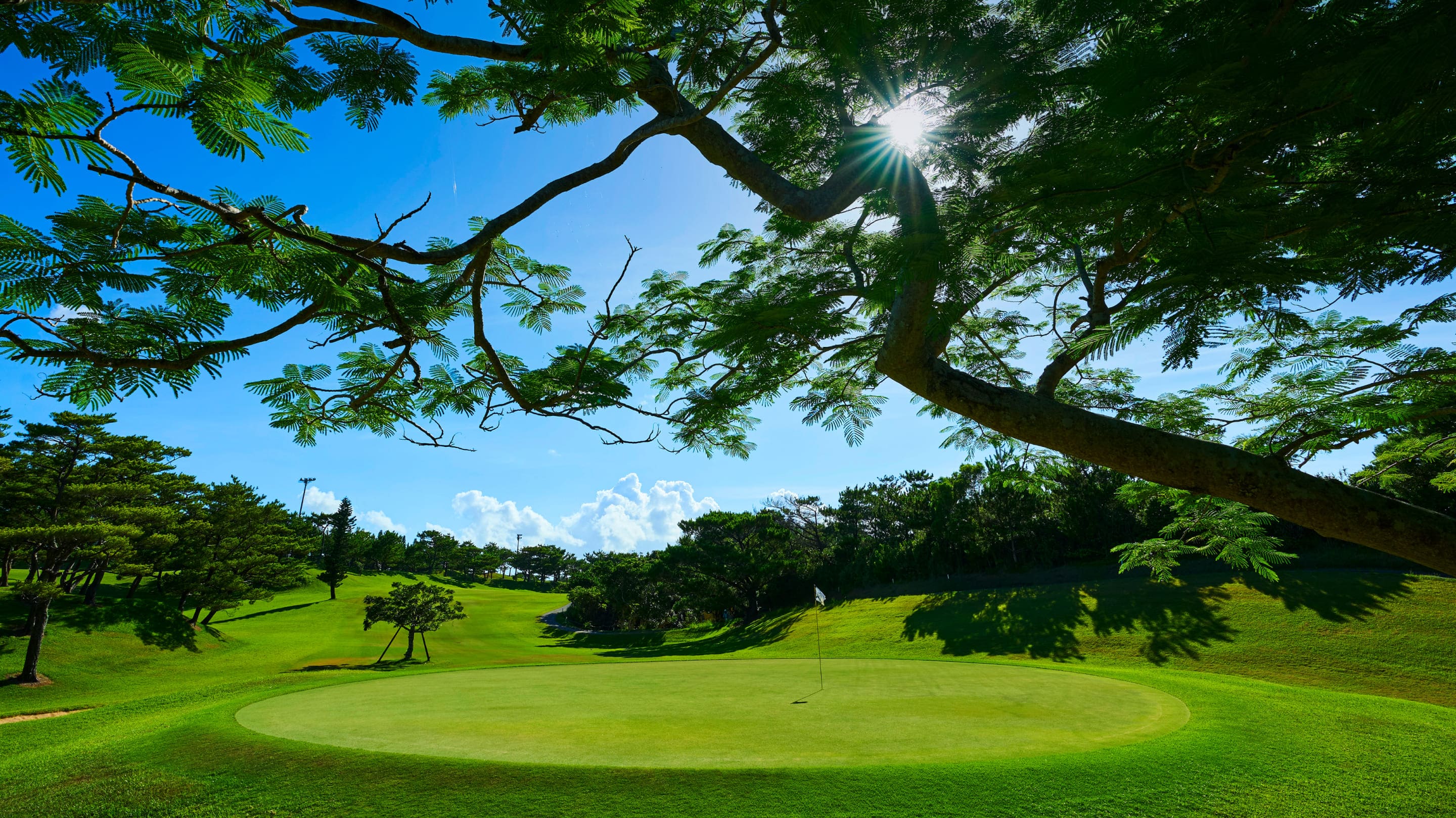 [오픈특가] 오키나와 츄라오차드 골프 클럽 - 18홀 그린피 + 카트피