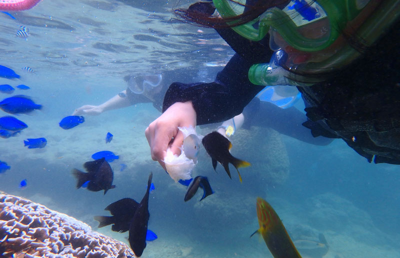 오키나와 온나손 바다 피크닉 & 스노클링 투어 - 어린이 추천