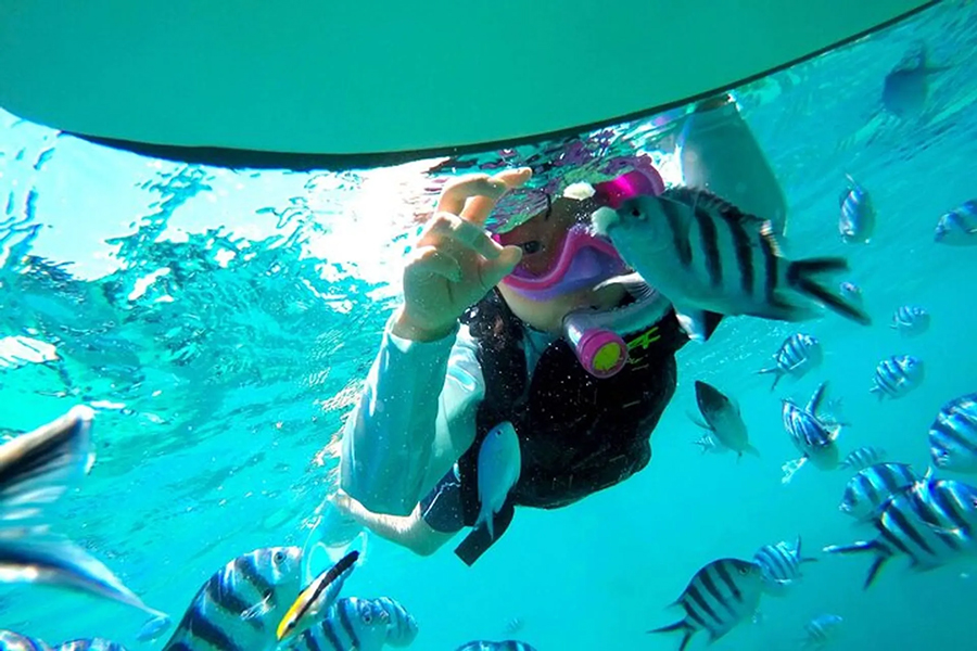 오키나와 온나손 바다 피크닉 & 스노클링 투어 - 어린이 추천