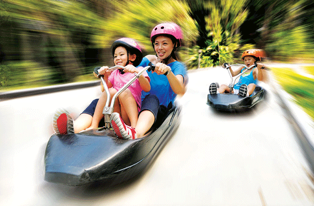 シンガポール・スカイラインリュージュ＆4Dアドベンチャーランドのチケット