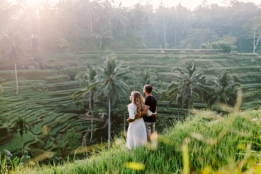 발리 커피 농장 & 우붓 지역 일일 투어