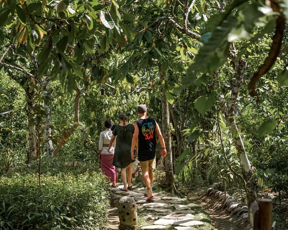발리 커피 농장 & 우붓 지역 일일 투어
