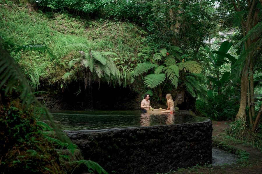 발리 커피 농장 & 우붓 지역 일일 투어