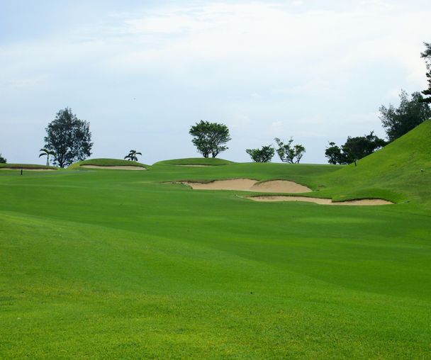 activity_detail_image