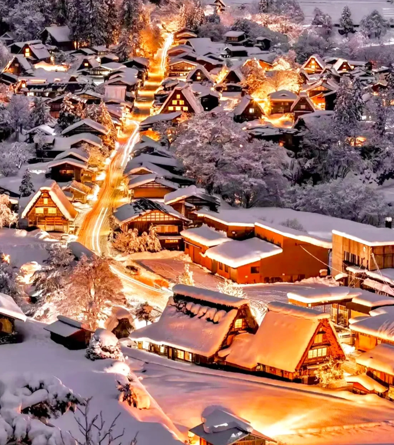 名古屋発：白川郷ライトアップ＆高山日帰りツアー