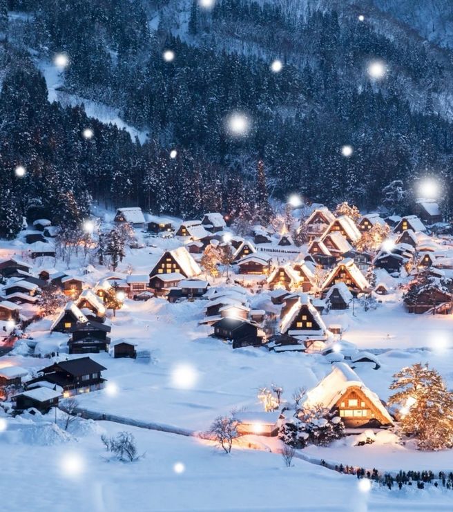 Nagoya Departure: Shirakawa-go Light-Up & Takayama Day Tour