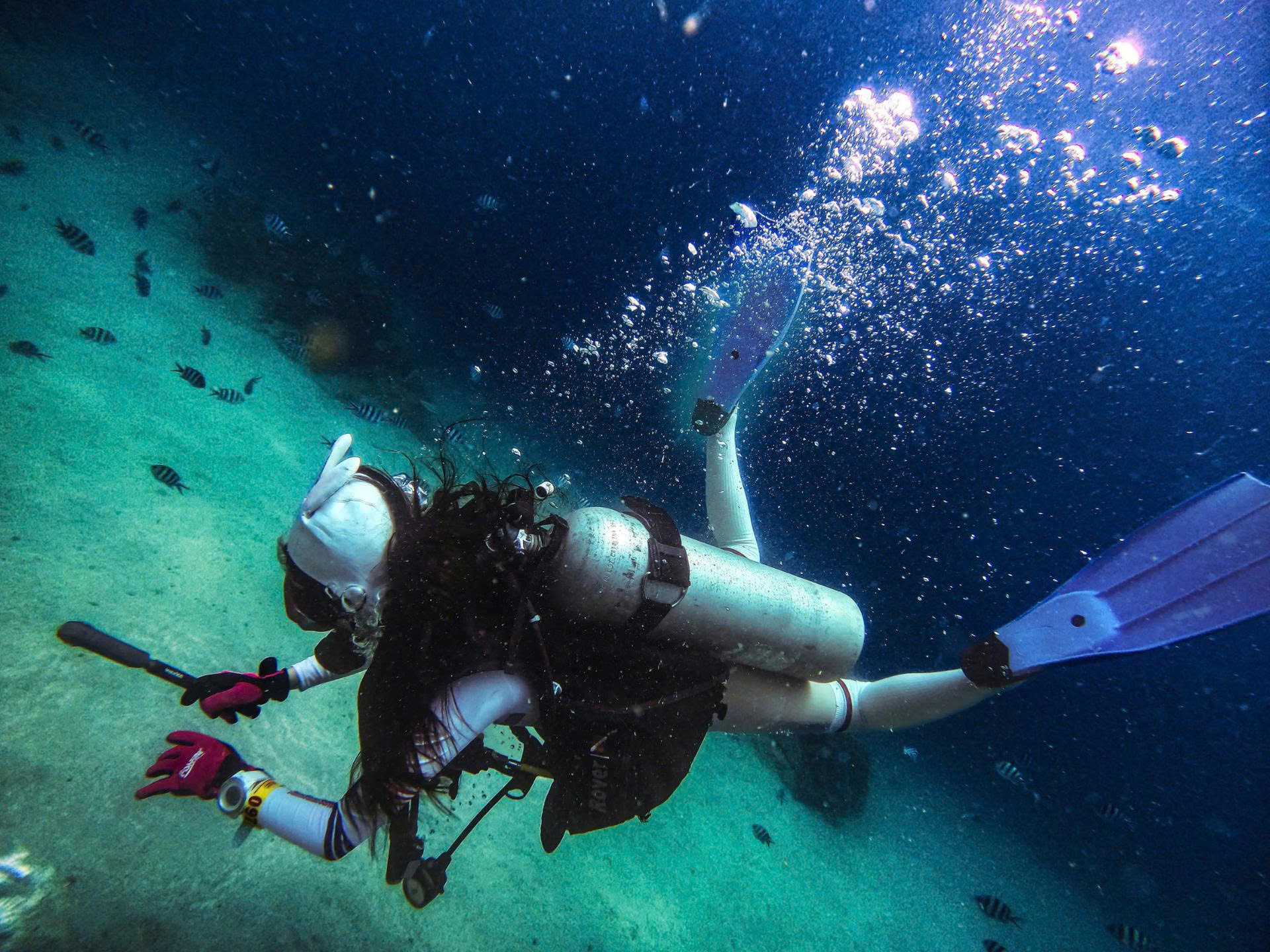 푸꾸옥 북부 스쿠버 다이빙 & 스노클링 투어