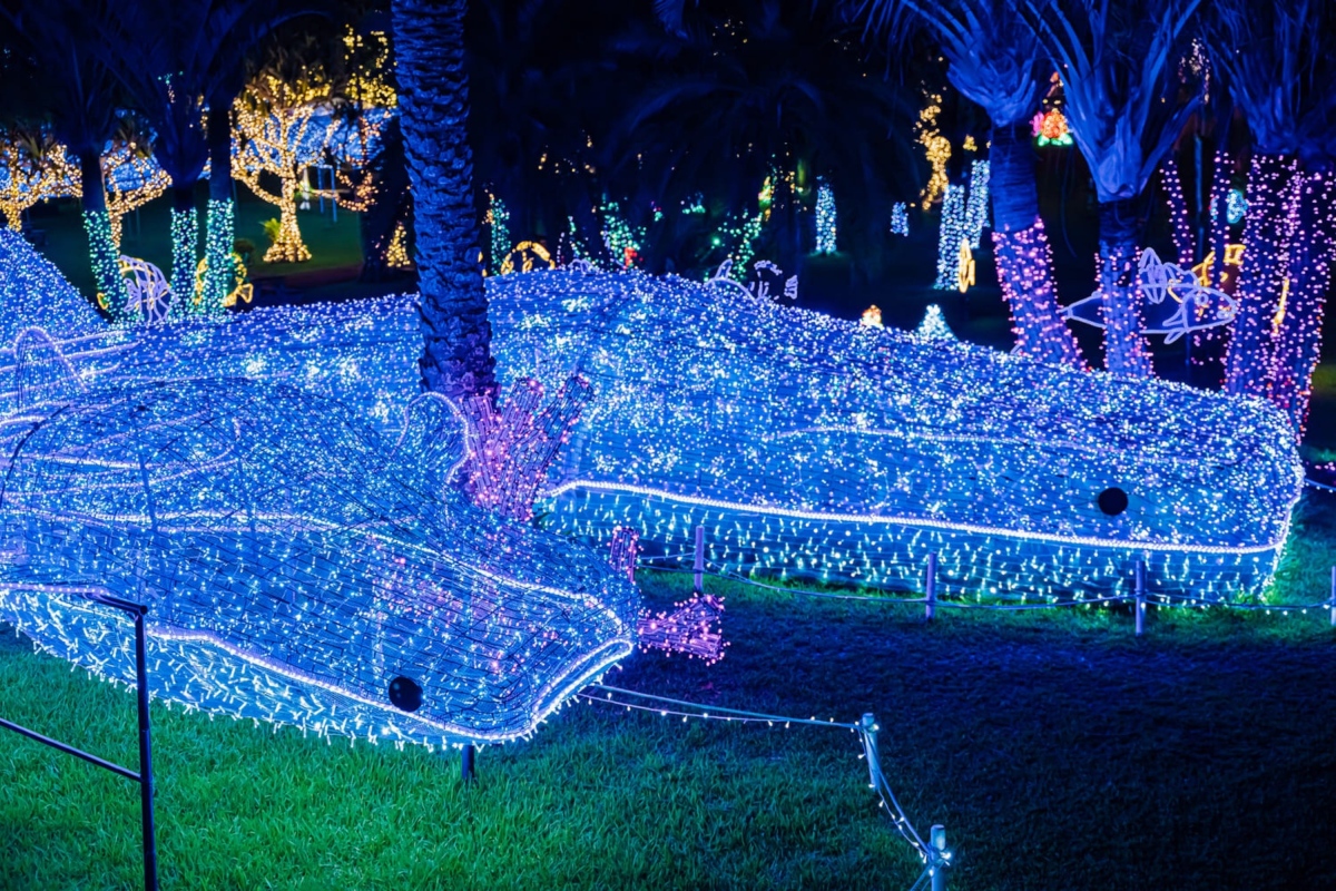 沖縄 東南植物楽園 ナイトイルミネーション 入場チケット