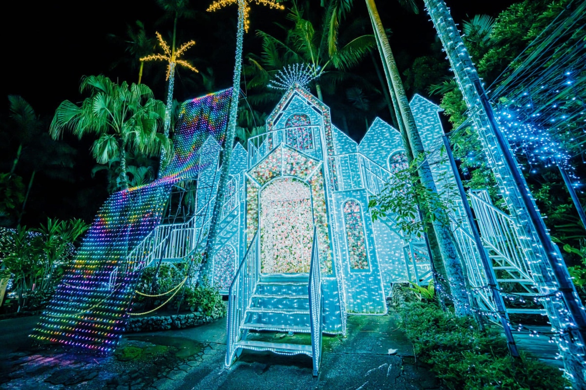 沖縄 東南植物楽園 ナイトイルミネーション 入場チケット