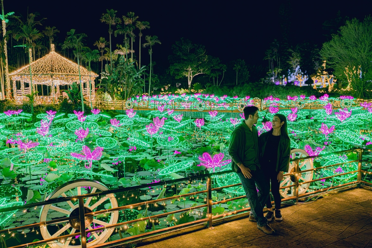 沖縄 東南植物楽園 ナイトイルミネーション 入場チケット