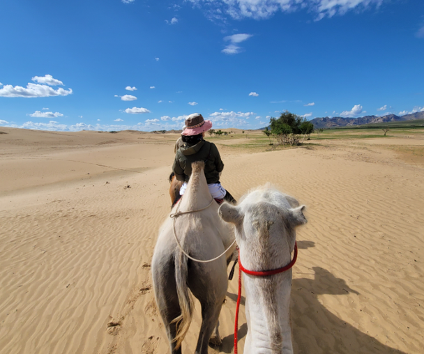 activity_detail_image