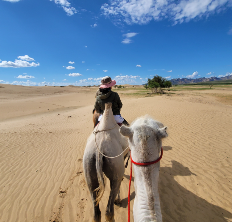 [얼리버드 특가] [노니투어] [몽골/2박3일] 너랑나랑 별보러가자! 낙타타기, 모래썰매, 은하수헌팅 투어