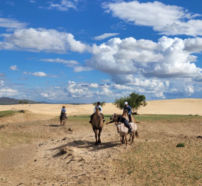 [얼리버드 특가] [노니투어] [몽골/2박3일] 너랑나랑 별보러가자! 낙타타기, 모래썰매, 은하수헌팅 투어