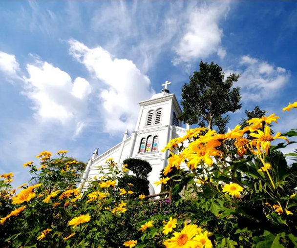 activity_detail_image