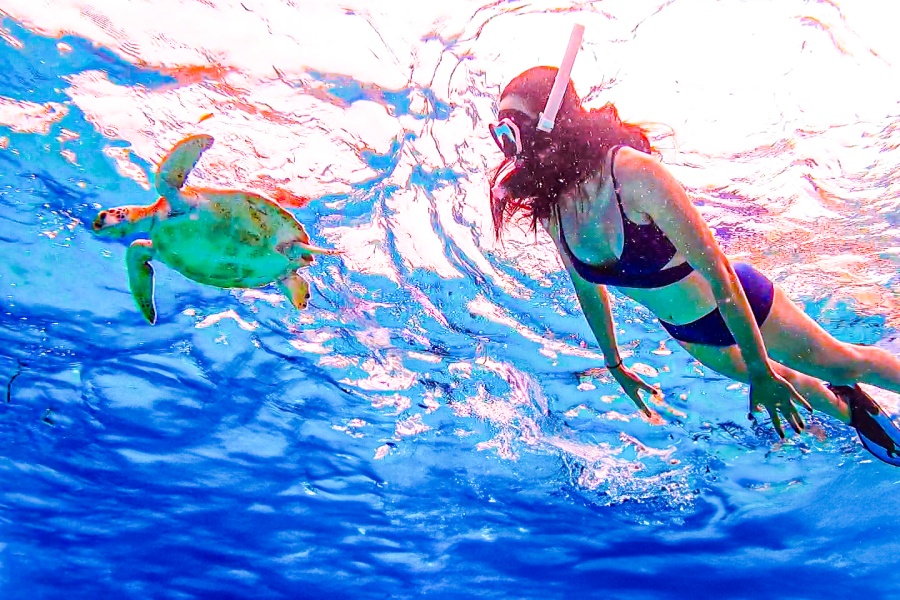 [몽키호핑] 보홀 발리카삭 메가 호핑 (수중 촬영, 보일링 씨푸드, 메가 스프레쉬 파티)