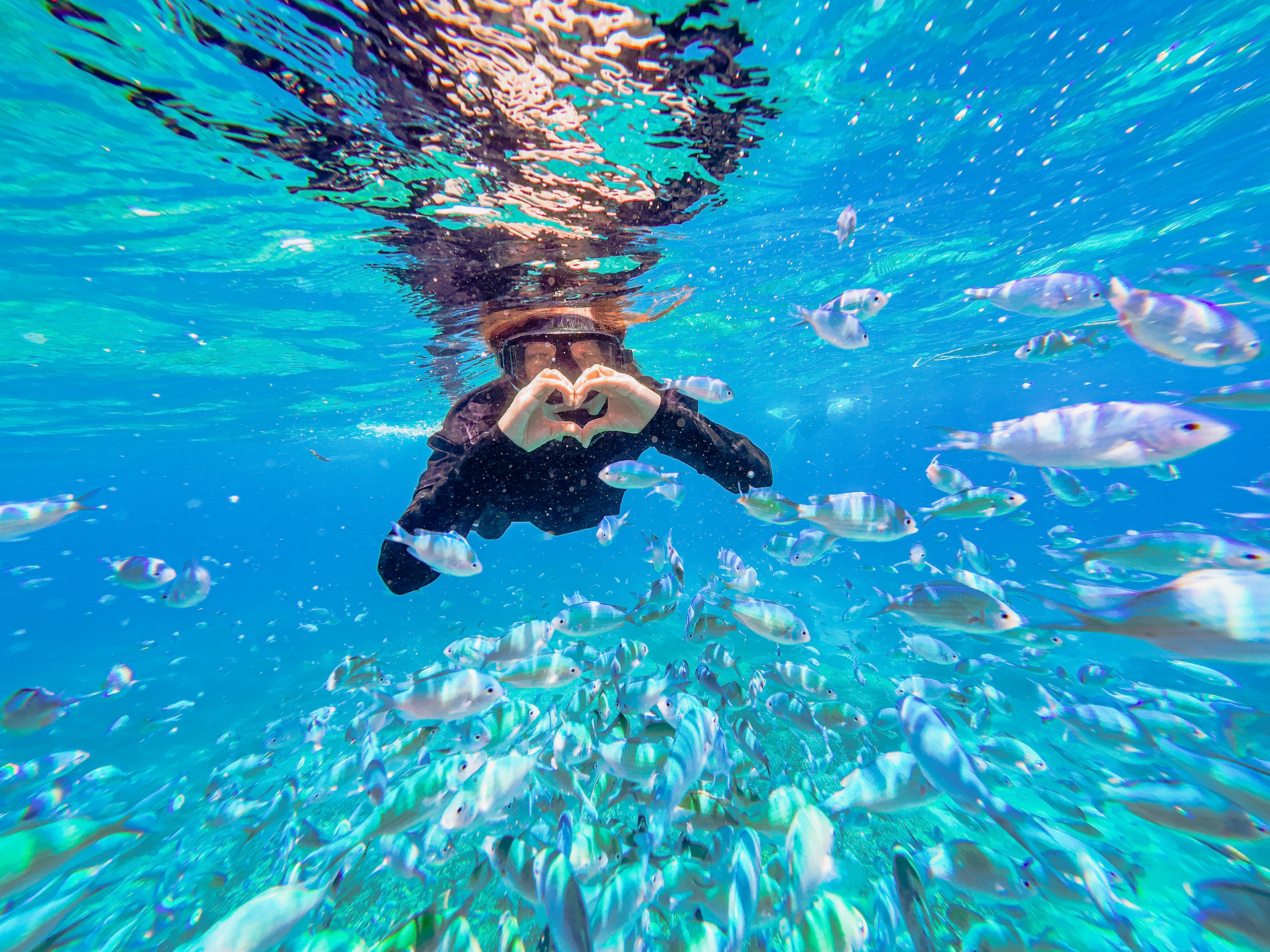 [몽키호핑] 보홀 발리카삭 메가 호핑 (수중 촬영, 보일링 씨푸드, 메가 스프레쉬 파티)