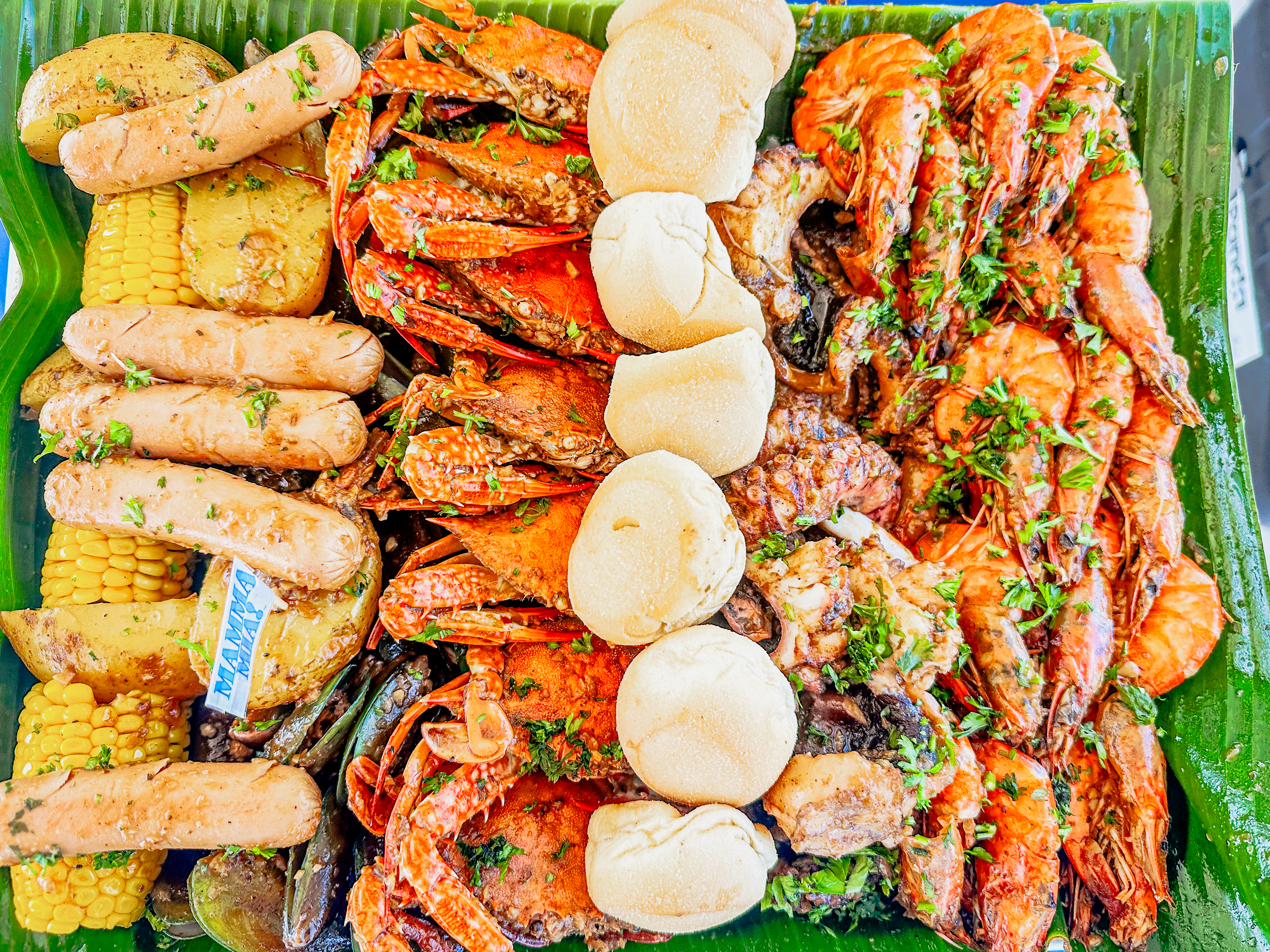 [몽키호핑] 보홀 발리카삭 메가 호핑 (수중 촬영, 보일링 씨푸드, 메가 스프레쉬 파티)