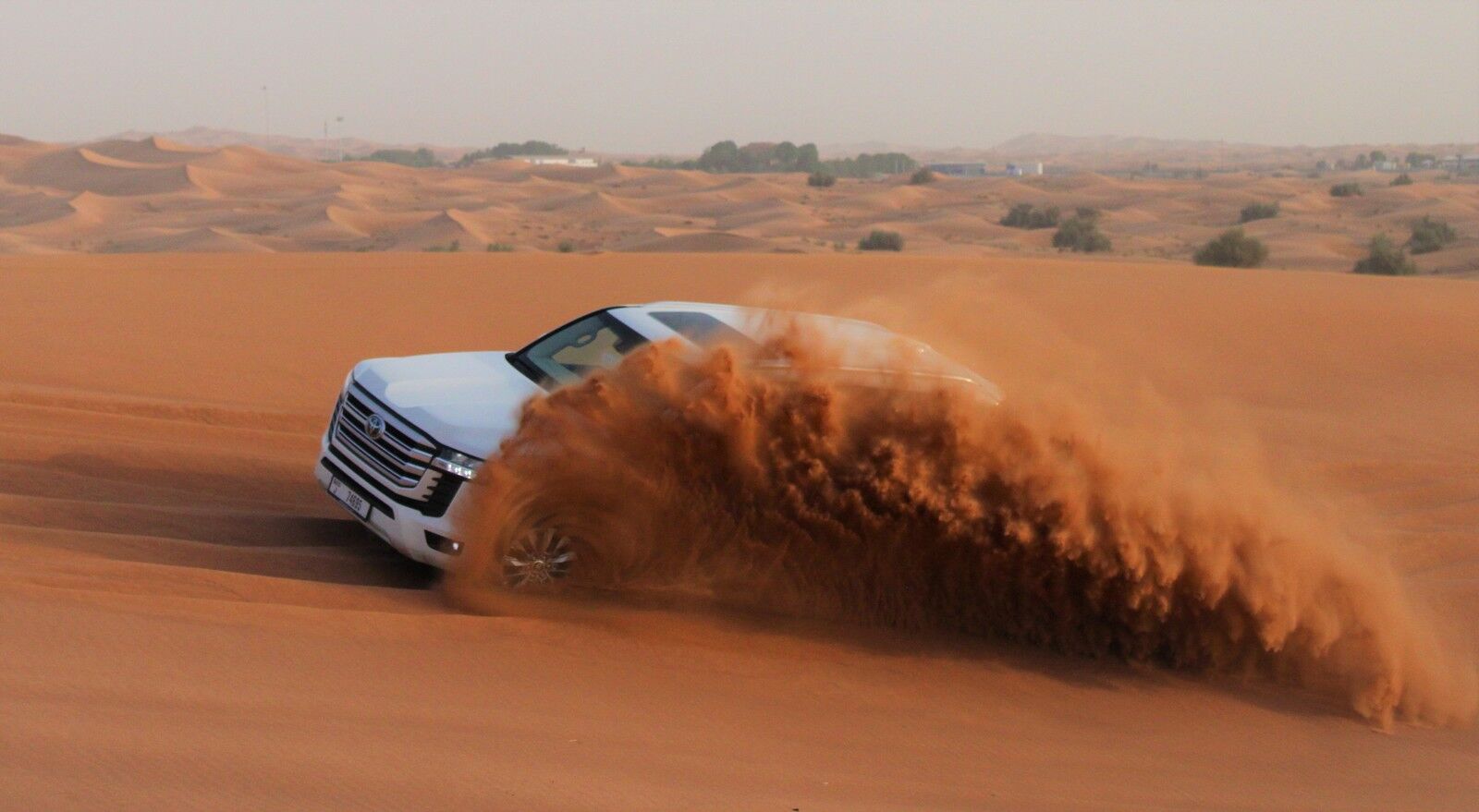 Dubai Evening Desert Safari with Sand Boarding and Camel Ride and Camp