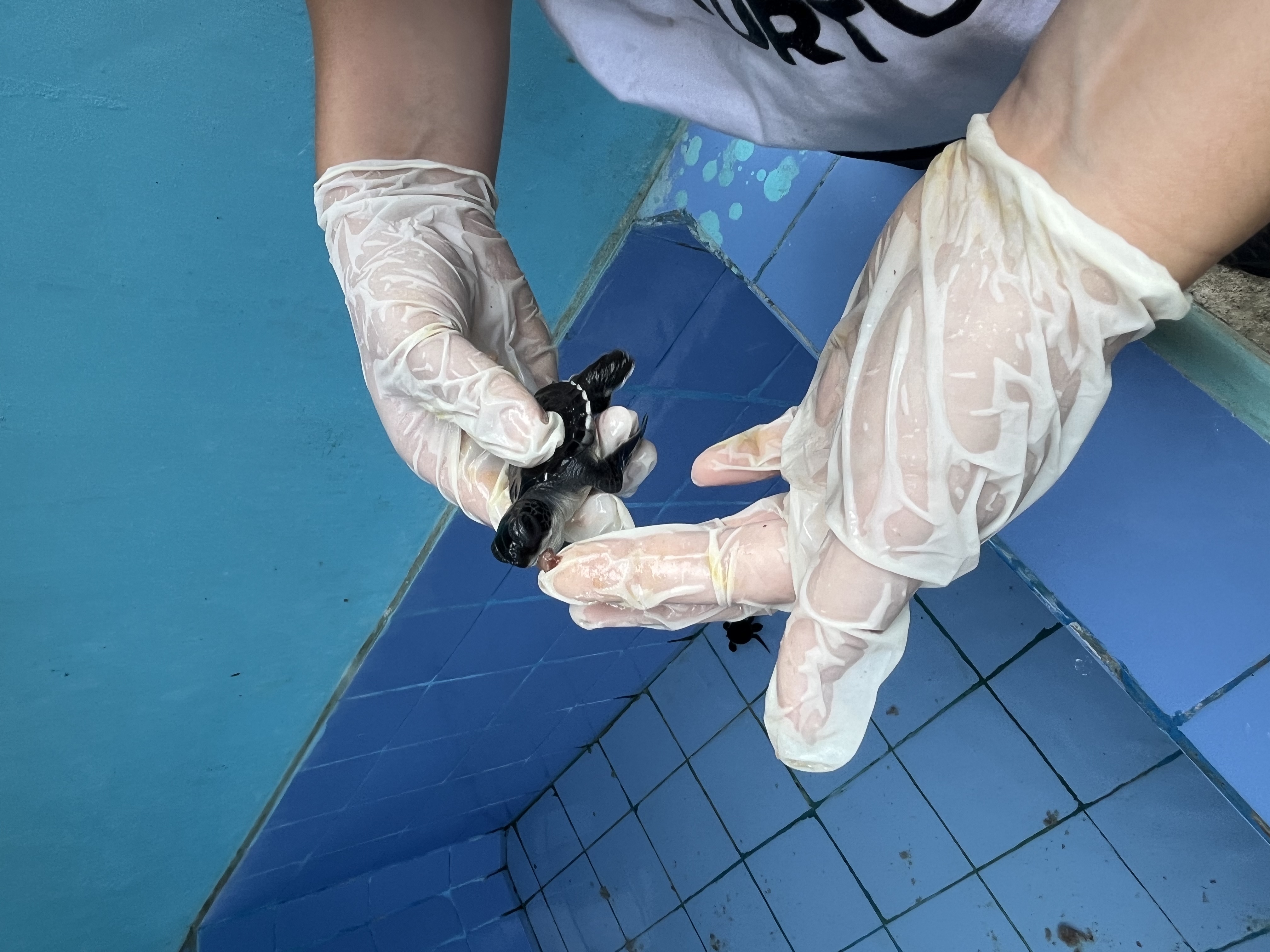 [2월1일 출발 / 7박9일] 발리 누사페니다 2026년 겨울 가족 해외봉사