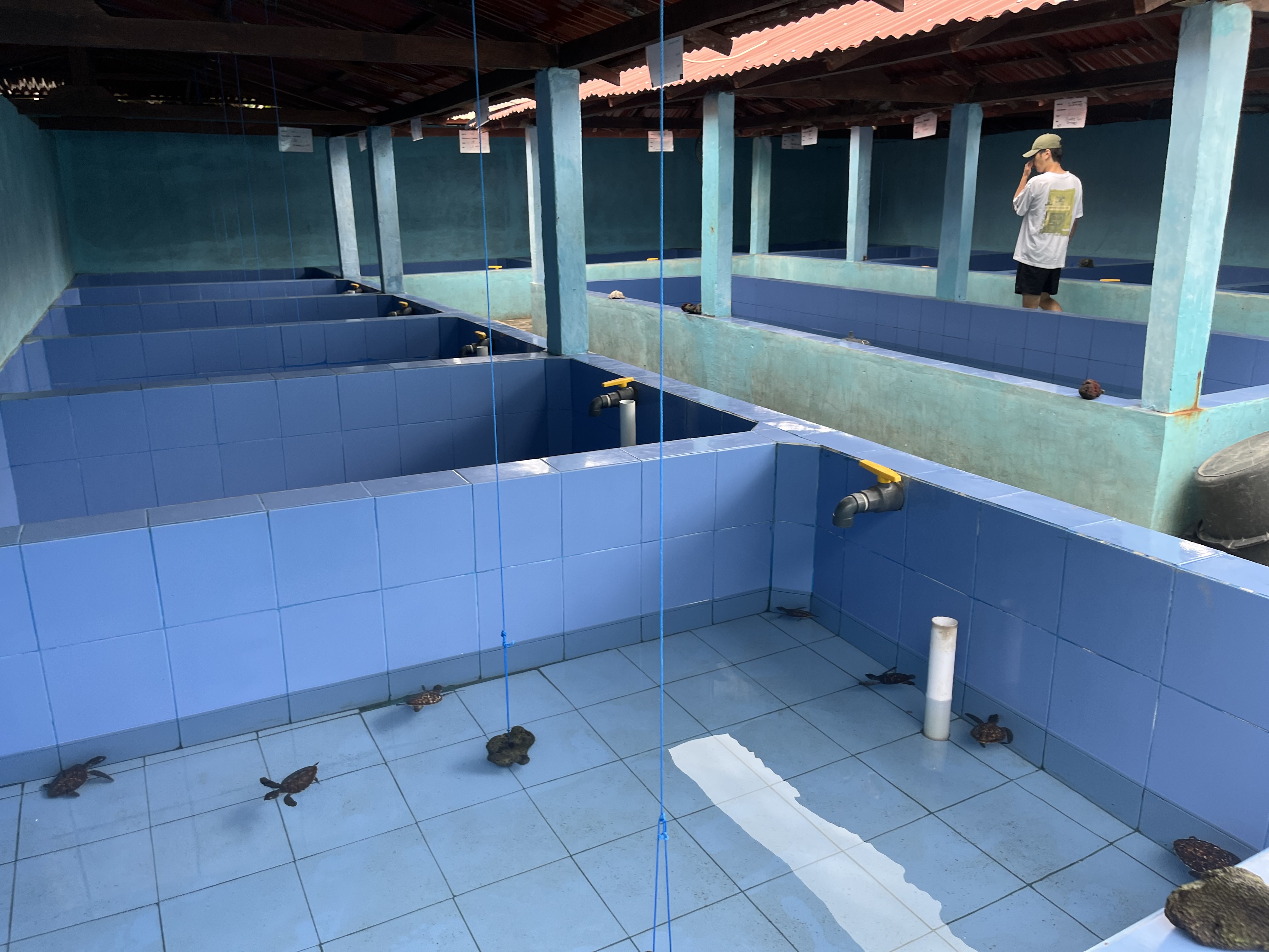 [2월1일 출발 / 7박9일] 발리 누사페니다 2026년 겨울 가족 해외봉사